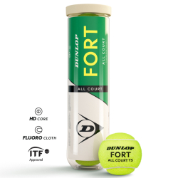Tenisové míče DUNLOP FORT ALL COURT TS 4BT