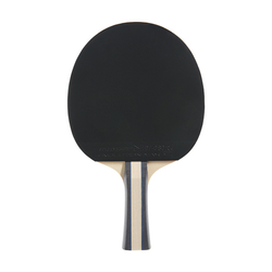 Stolní tenis pálka DUNLOP FLUX