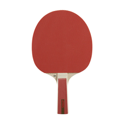 Stolní tenis pálka DUNLOP NITRO